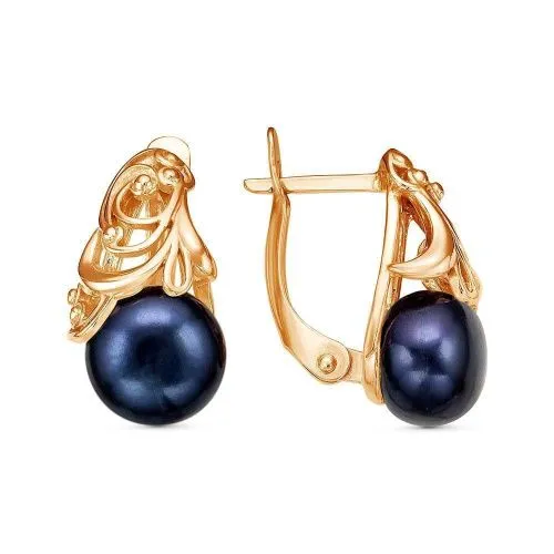 34313029кч_серьги