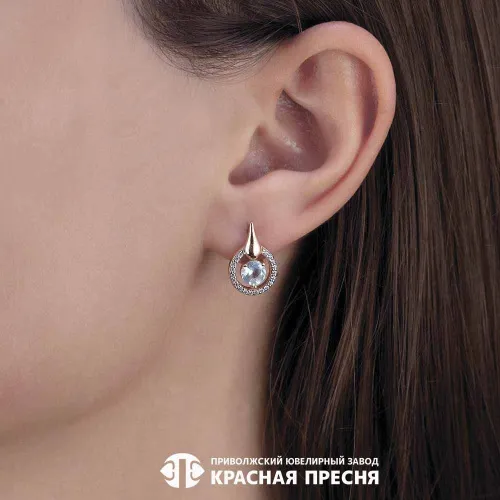 33113837дтг_серьги