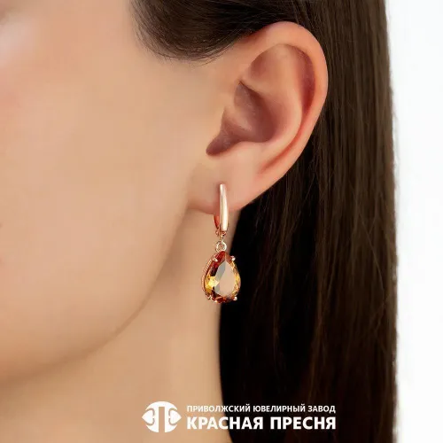 33811759-22_серьги