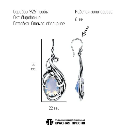 33616098_серьги