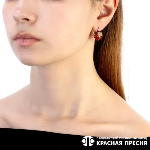 3381637д11_серьги