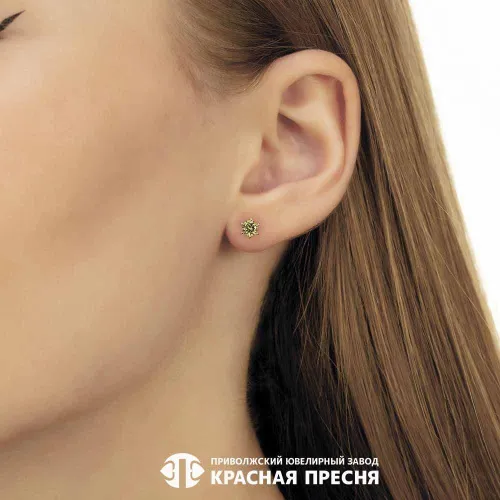 33812884д17_серьги