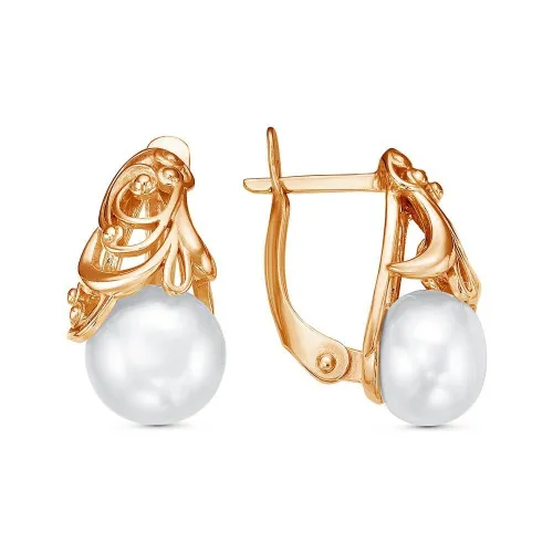 33313029_серьги