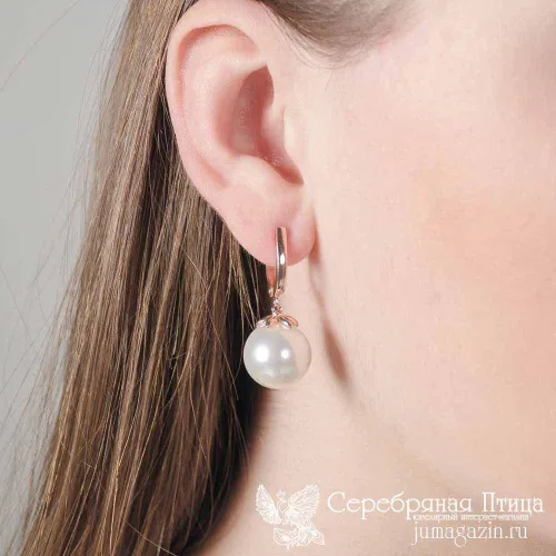 3368239_серьги