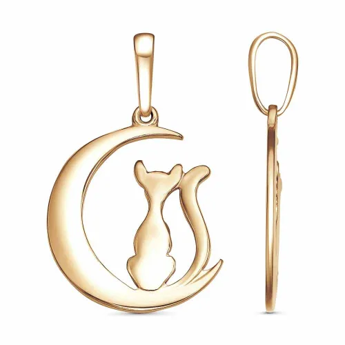 54015879_подвеска