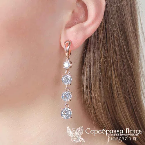 3382375_серьги