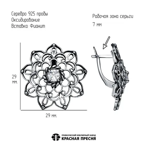 33815972_серьги