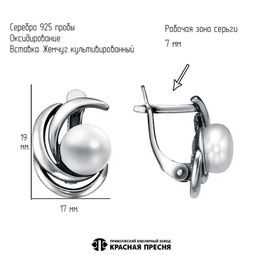 3337166_серьги