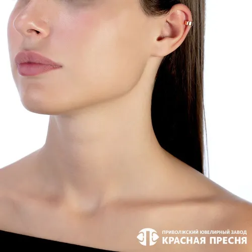 33013981_серьга