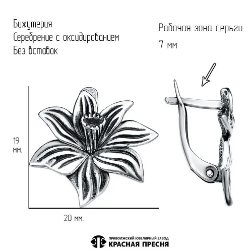 34016218_серьги