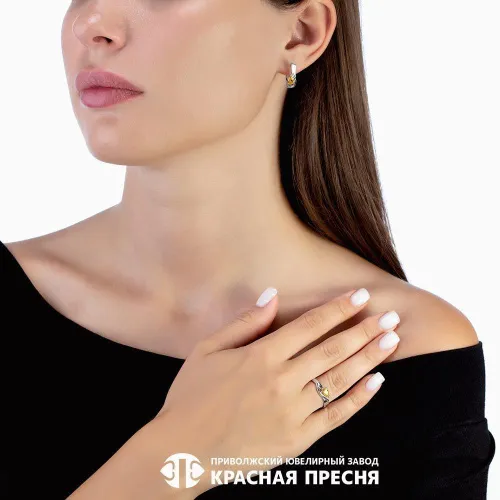 33813728д17_серьги