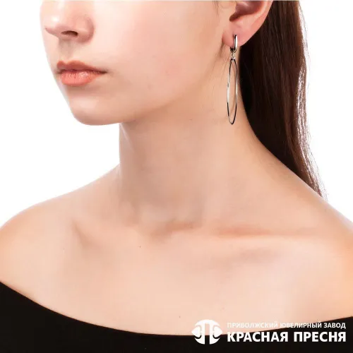 34012650с_серьги