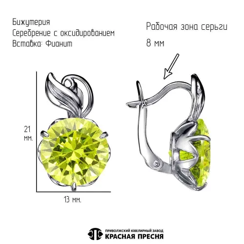 34812352-18_серьги