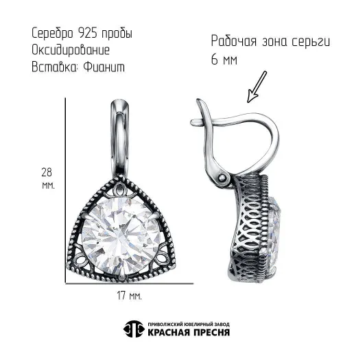 33815558_серьги