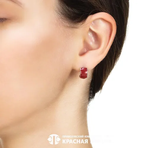 3309312д10_серьги