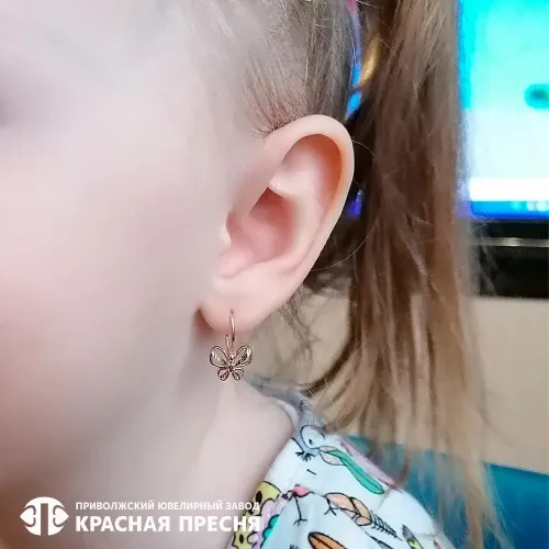 34012839-5_серьги