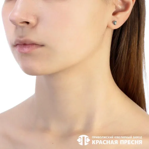 33813386_серьги