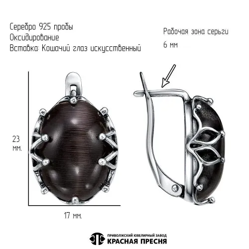 33615510-16_серьги